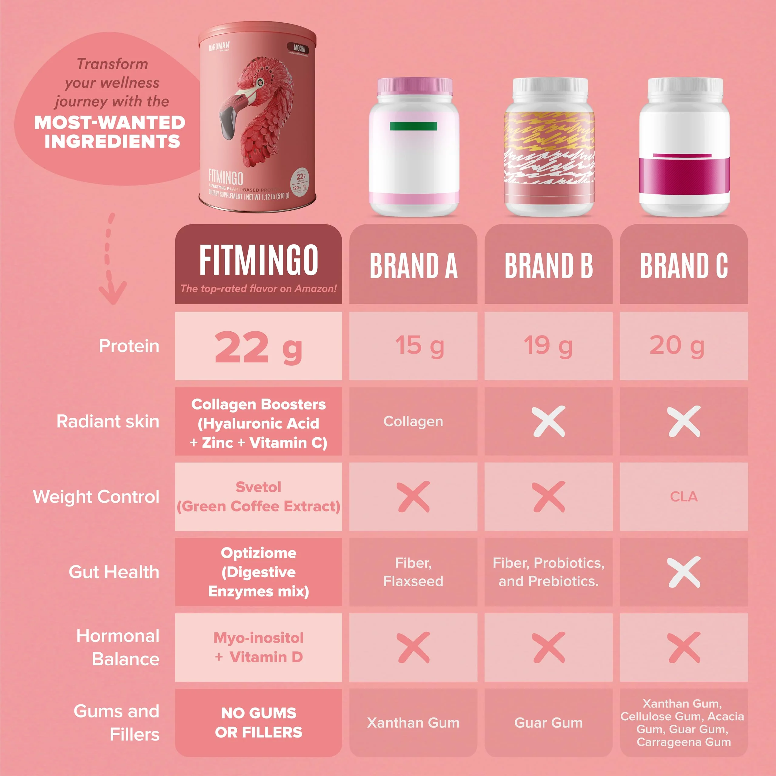 Fitmingo Plant Based Protein Powder - Mocha Flavor - 1.12lbs - Image 6