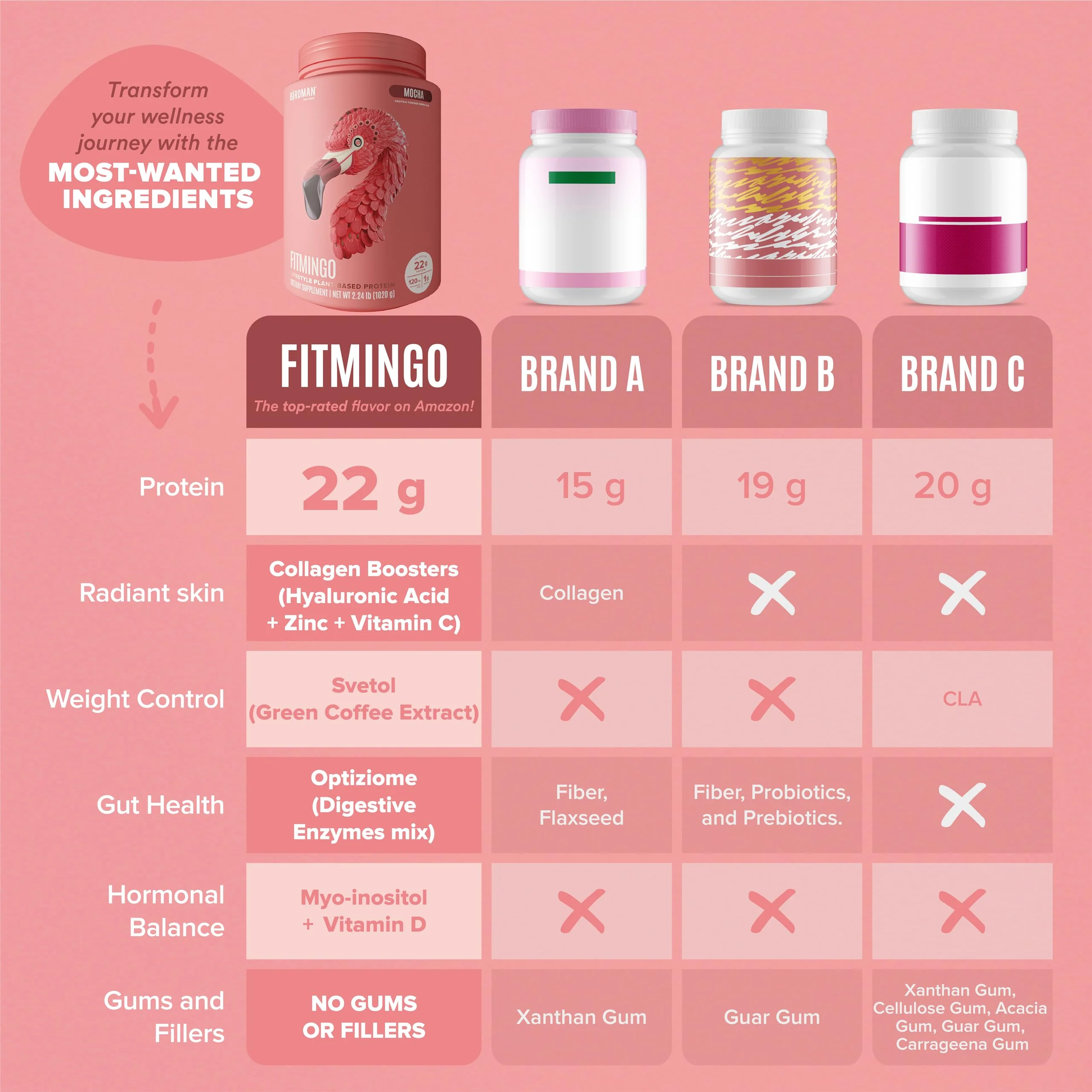 Fitmingo Plant Based Protein Powder - Mocha Flavor - 2.24lbs - Image 6